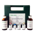硫酸氨基聚糖检测试剂盒（Blyscan™ Glycosaminoglycan Assay）